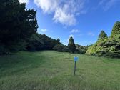 広々としたフリーサイトです。