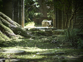 【法師庭園】緑の深さは、重ねてきた年月そのもの。毎日変わる自然の美に身を委ねてみて….
