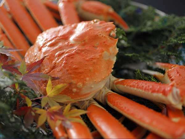 甘味とプリッとした食感が◎ズワイ蟹の醍醐味を存分にどうぞ。